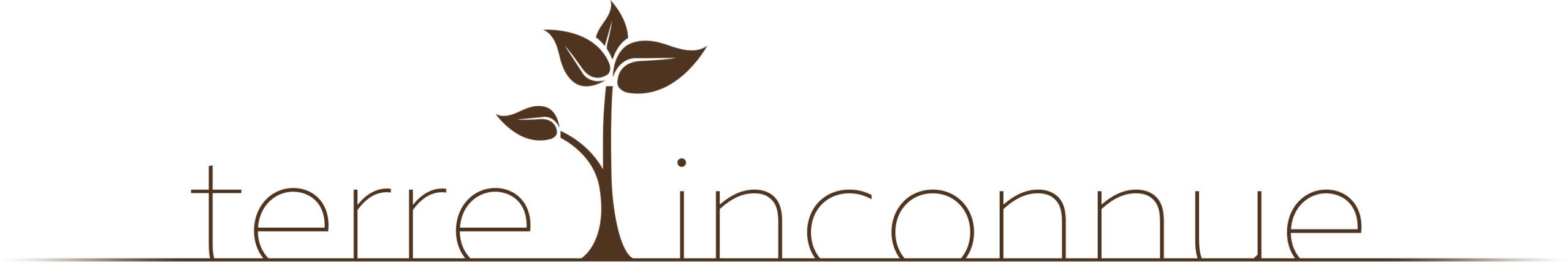 Logo terre inconnue