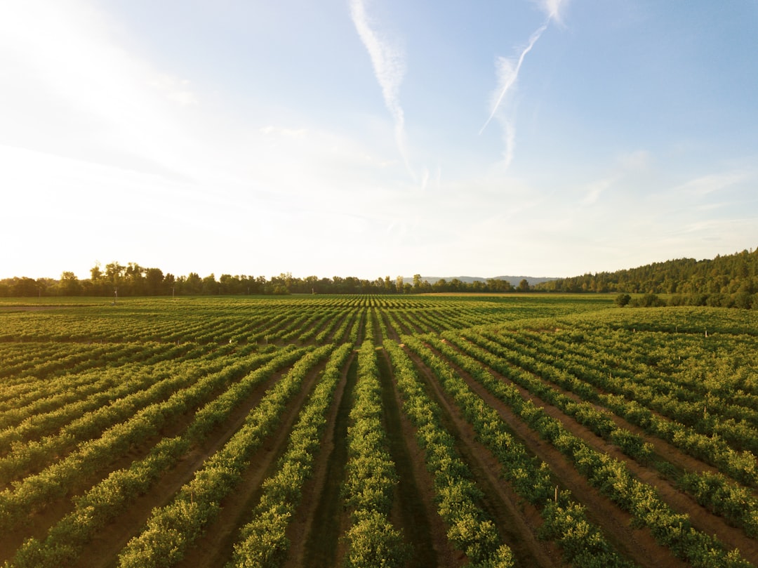 Label AB : ce que la certification bio garantit vraiment dans un complément alimentaire