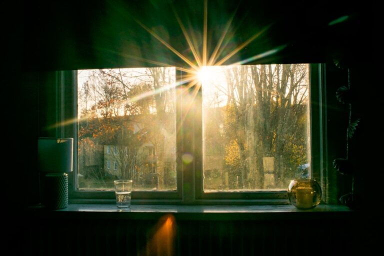 Le blues de l'automne : comprendre la baisse de moral saisonnière et l'accompagner en douceur